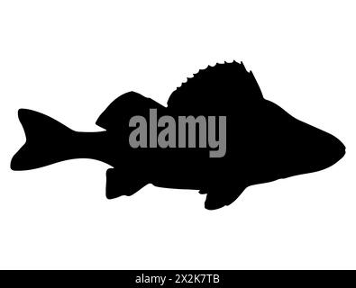 Barsch Fisch Silhouette Vektorkunst Stock Vektor