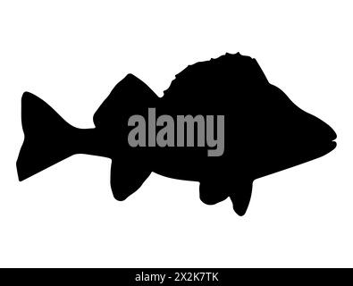 Barsch Fisch Silhouette Vektorkunst Stock Vektor