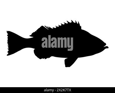 Barsch Fisch Silhouette Vektorkunst Stock Vektor