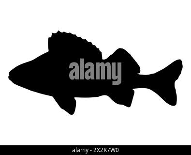 Barsch Fisch Silhouette Vektorkunst Stock Vektor