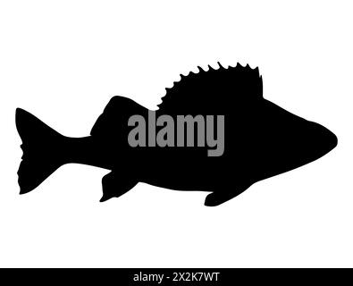 Barsch Fisch Silhouette Vektorkunst Stock Vektor