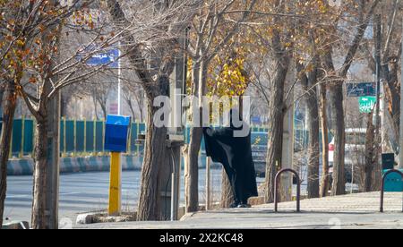 Shiraz, Iran, 30. Dezember 2022: Eine Frau auf der Straße in einem Hijab. Die Figur ist wie eine Fledermaus hervorgehoben (schwarze Silhouette). Fremdes Objekt. Der alte Frost Stockfoto