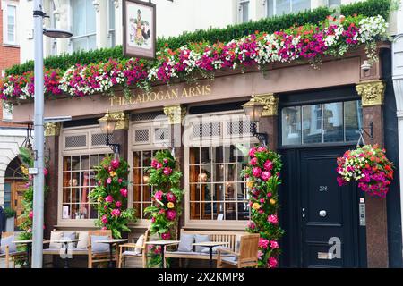 Cadogan Arms Pub, London Stockfoto