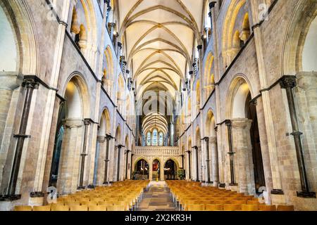 Innenschiff der Kathedrale von Chichester, West Sussex, England Stockfoto