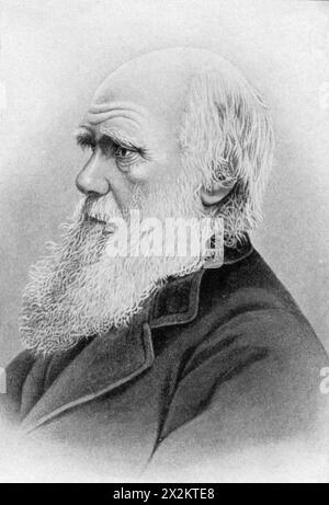 Darwin, Charles Robert, 12.2.1809 - 19.4,1882, britischer Naturwissenschaftler, Druck auf Foto, ADDITIONAL-RIGHTS-CLEARANCE-INFO-NOT-AVAILABLE Stockfoto