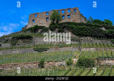 Geographie / Reise, Deutschland, Baden-Württemberg, Ruine der Burg Staufen, Staufen im Breisgau, ADDITIONAL-RIGHTS-CLEARANCE-INFO-NOT-AVAILABLE Stockfoto