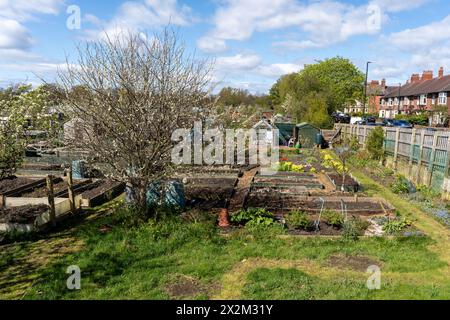 Kleingartengelände im Frühling. Das Konzept des Frühlings, des Wachstums, des Gartenbaus. Stockfoto