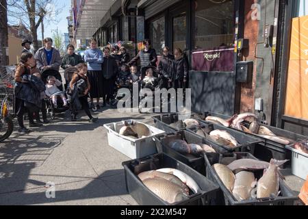 Eine kleine Gruppe beobachtet die Lieferung von Fisch zu einem koscheren Laden in Williamsburg. Es ist Brauch, Fisch am Pessach zu essen. In Brooklyn, New York, 2024. Stockfoto