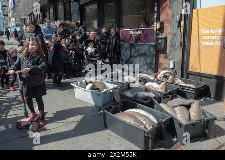 Eine kleine Gruppe beobachtet die Lieferung von Fisch zu einem koscheren Laden in Williamsburg. Es ist Brauch, Fisch am Pessach zu essen. In Brooklyn, New York, 2024. Stockfoto