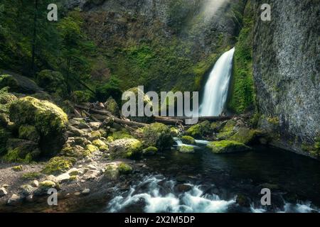 Geografie / Reisen, USA, Oregon, Columbia River Gorge, Oregon, ADDITIONAL-RIGHTS-CLEARANCE-INFO-NOT-AVAILABLE Stockfoto