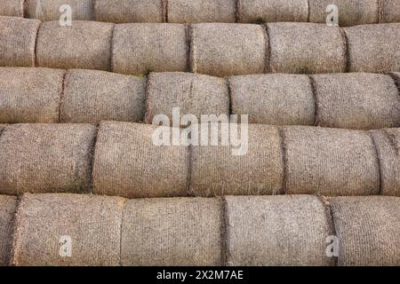 Viele Heuballen als Hintergrund, Nahaufnahme Stockfoto