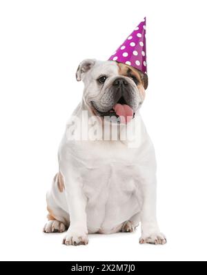 Süßer Hund mit Partyhut auf weißem Hintergrund Stockfoto