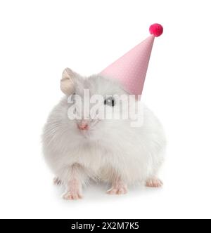 Niedlicher Hamster mit Partyhut auf weißem Hintergrund Stockfoto