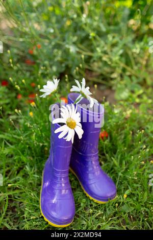 Lila Gummistiefel mit weißen Gänseblümchen, die auf üppigem grünem Gras stehen, signalisieren den Frühling Stockfoto