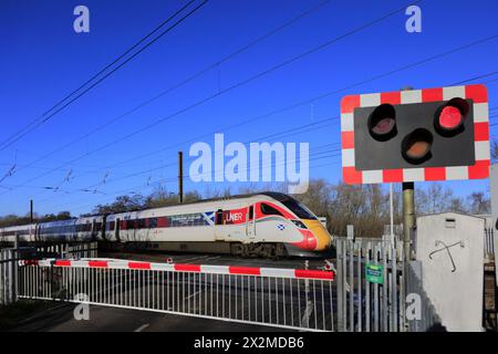 Anlässlich Schottlands 800104 fährt der Azuma-Zug an einem unbemannten Bahnübergang von Lolham, East Coast Main Line Railway, Cambridgeshire, Englan Stockfoto