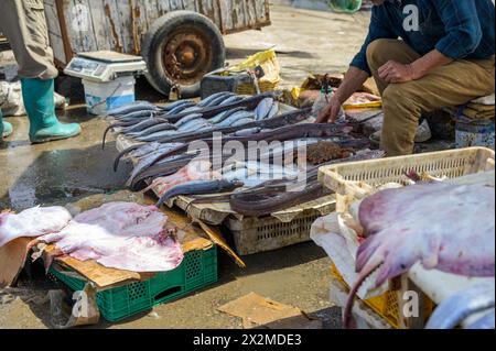 Eine geschäftige marokkanische Fischmarktszene mit einer Vielzahl von frischen Meeresfrüchten, die zum Verkauf angeboten werden, während nicht erkennbare Anbieter mit Kunden interagieren Stockfoto