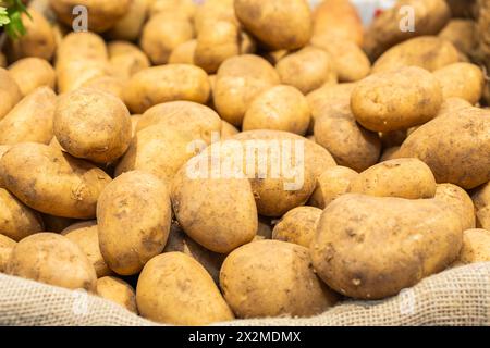 Nahaufnahme eines Haufens frischer, ungeschälter Erdkartoffeln auf einem Sacksack, wie sie in einer Marktsituation zu finden sind Stockfoto