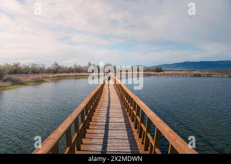 Eine friedliche Szene mit einer Person, die auf einer hölzernen Promenade über das ruhige Wasser des Nationalparks Tablas de Daimiel in Castilla La Mancha, Spai, spaziert Stockfoto