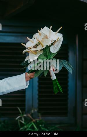 Ein unberührter weißer Brautstrauß mit frischen Calla-Lilien und üppigem grünem Laub, der sanft in den Händen der Braut vor dunklem Hintergrund gehalten wird Stockfoto