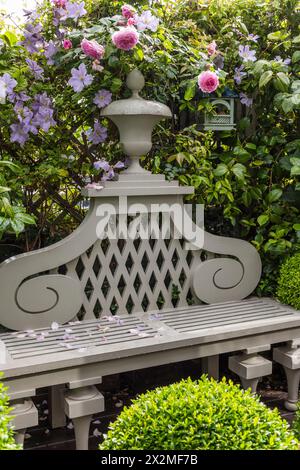 Rosa blühende Rosen im privaten Garten am Chelsea-Damm, London, Großbritannien Stockfoto