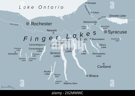 Finger Lakes Region im Bundesstaat New York, USA, graue politische Karte mit den wichtigsten Städten. Gruppe von elf langen, schmalen Seen. Stockfoto