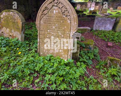 Alter Friedhof Barons Haugh Nature Reserve Motherwell mit einem Mausoleum, das die Gräber der Familie Hamilton beherbergt. Stockfoto