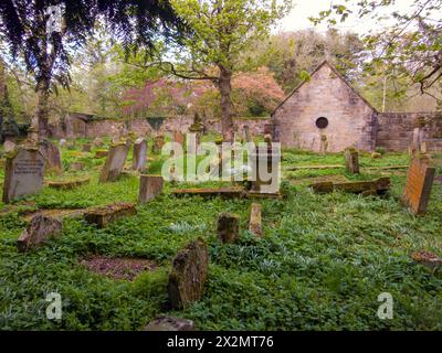 Alter Friedhof Barons Haugh Nature Reserve Motherwell mit einem Mausoleum, das die Gräber der Familie Hamilton beherbergt. Stockfoto