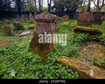 Alter Friedhof Barons Haugh Nature Reserve Motherwell mit einem Mausoleum, das die Gräber der Familie Hamilton beherbergt. Stockfoto