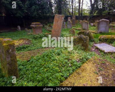 Alter Friedhof Barons Haugh Nature Reserve Motherwell mit einem Mausoleum, das die Gräber der Familie Hamilton beherbergt. Stockfoto