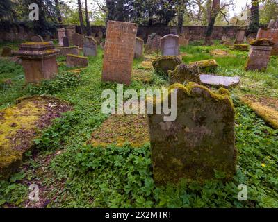 Alter Friedhof Barons Haugh Nature Reserve Motherwell mit einem Mausoleum, das die Gräber der Familie Hamilton beherbergt. Stockfoto