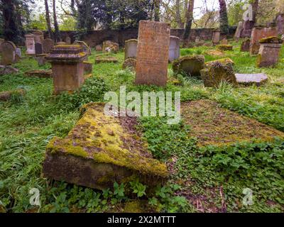 Alter Friedhof Barons Haugh Nature Reserve Motherwell mit einem Mausoleum, das die Gräber der Familie Hamilton beherbergt. Stockfoto