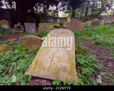 Alter Friedhof Barons Haugh Nature Reserve Motherwell mit einem Mausoleum, das die Gräber der Familie Hamilton beherbergt. Stockfoto