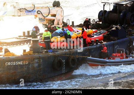 Im Jahr 2006 kämpfen Retter um die Rettung eines 15 Fuß langen nördlichen Flaschennasenwals in der Themse, London, nahe der Albert Bridge, am Samstag, den 21. Januar 2006. Der Wal schwamm gestern ins Zentrum von London und ist bis zur Battersea Bridge PIC gavin rodgers/pixel8000 gefahren Stockfoto