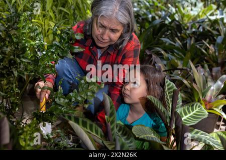 Gartenarbeit mit Kindern. Großmutter bringt ihrem lateinamerikanischen Enkel bei, in ihrem Garten zu arbeiten. Hobbys und Freizeit, Lifestyle, Familienleben. Stockfoto