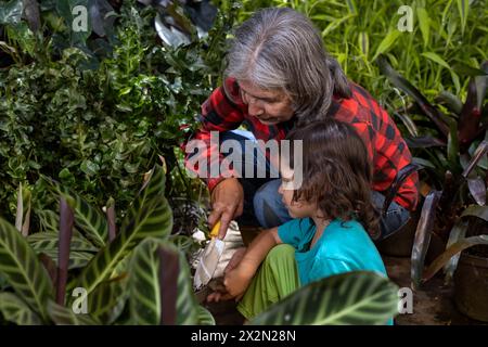 Gartenarbeit mit Kindern. Großmutter bringt ihrem lateinamerikanischen Enkel bei, in ihrem Garten zu arbeiten. Hobbys und Freizeit, Lifestyle, Familienleben. Stockfoto