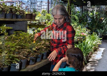 Gartenarbeit mit Kindern. Großmutter bringt ihrem lateinamerikanischen Enkel bei, in ihrem Garten zu arbeiten. Hobbys und Freizeit, Lifestyle, Familienleben. Stockfoto