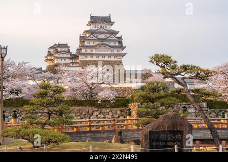 Burg Himeji bei Sonnenuntergang mit Kirschblüten im Frühling. Hyogo, Japan. Stockfoto