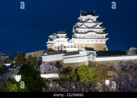 Das Himeji Castle ist nachts beleuchtet und blüht im Frühling in voller Blüte. Hyogo, Japan. Stockfoto