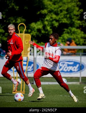 KÖLN - 23. APRIL 2024: Justin Diehl, Training des 1. FC Köln in Geissbockheim in Geissbockheim Stockfoto