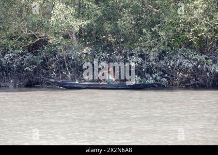 Khulna, Bangladesch - 13. April 2024: Die Sundorbons sind der größte Mangrovenwald der Welt. UNESCO-Weltkulturerbe und Naturschutzgebiet A Stockfoto