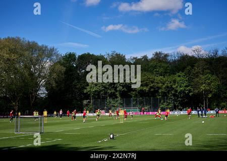 KÖLN - 23. APRIL 2024: Training des 1. FC Köln am {Standort} in Geissbockheim Stockfoto