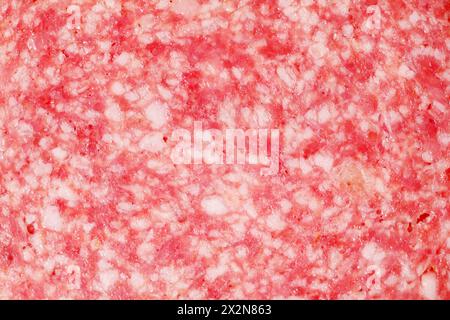 Nahaufnahme von rosafarbener appetitlicher Salamiwurst mit weißen Fettkreisen. Stockfoto