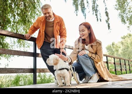 Ein erwachsenes Paar streichelt liebevoll einen kleinen Hund, während er in einem Park spaziert. Stockfoto
