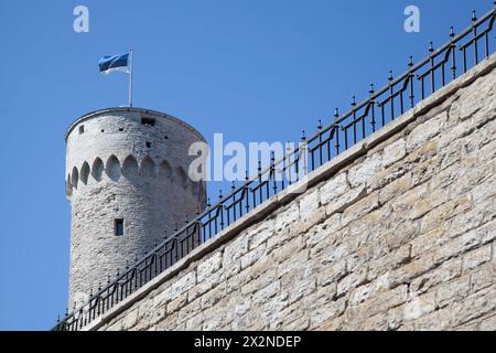 Schloss Toompea in Tallinn, Estland, von unten Stockfoto