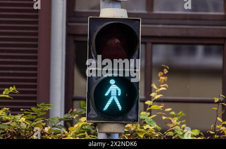 Eine Lichtsignalanlage für Fussgänger zeigt grün an. Fussgänger dürfen nun die Strassen sicher überqueren. (Konstanz, Deutschland, 20.11.2022) Stockfoto