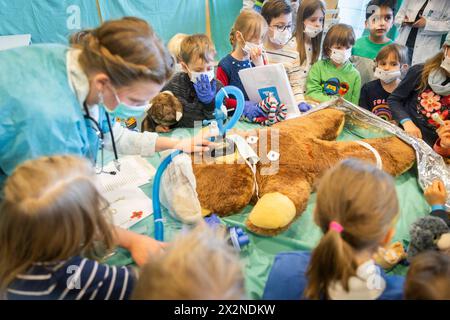 20 Jahre Teddy-Krankenhaus das Teddy-Krankenhaus öffnet in dieser Woche 23. bis 25. April am Universitätsklinikum Carl Gustav Carus Dresden wieder seine Türen. Studierende der Medizinischen Fakultät an der TU Dresden organisiert zum 20. Mal das beliebte Teddy-Krankenhaus. Die Idee: Wenn Kinder spielerisch erfahren, was bei einem Arztbesuch passiert, haben sie weniger Angst, wenn sie selbst mal krank sind. Die Medizinstudierenden wiederum erfahren in der Praxis, wie sie medizinisch komplizierte Sachverhalte einfach und verständlich kommunizieren. Bis zu 20,000 Kinder aus Dresden und Umgebung h Stockfoto