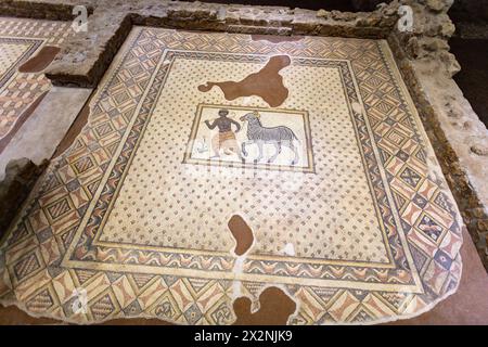 Haleplibahce Mosaikmuseum mit Mosaiken aus der römischen Zeit, Sanliurfa, Türkei Stockfoto