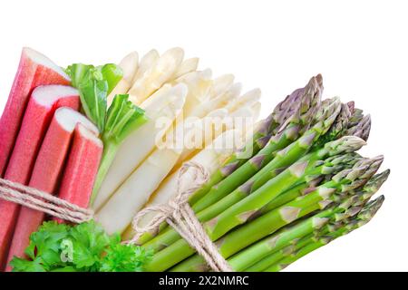 Spargel und Rhabarber isoliert auf weißem Hintergrund Stockfoto