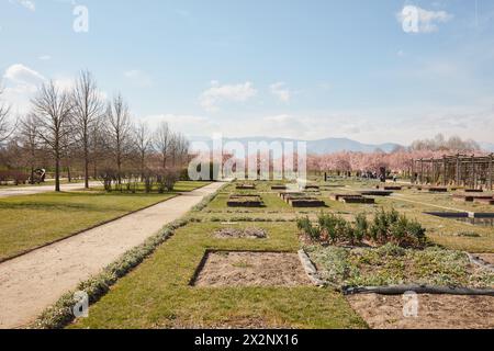 VENARIA REALE, ITALIEN - 29. MÄRZ 2023: Gemüsegarten mit Blumenbeeten im Schlosspark Reggia di Venaria bei Frühlingssonne Stockfoto