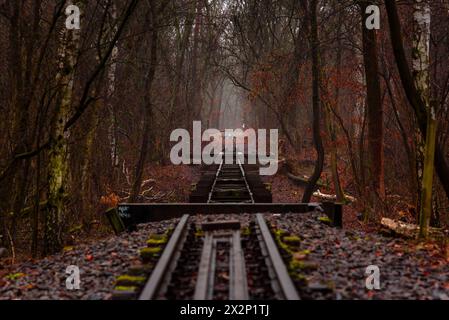 Eine alte baufällige Eisenbahnlinie, die durch einen Wald führt, dunkel, mystisch, Herbst Stockfoto